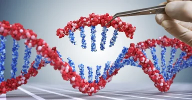 Genetik und Medikamentenentwicklung