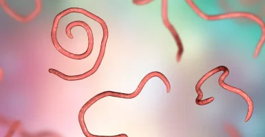 Helminthiasis