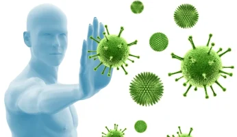 Immunsystems