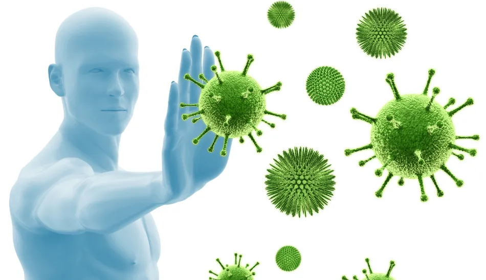 Immunsystems